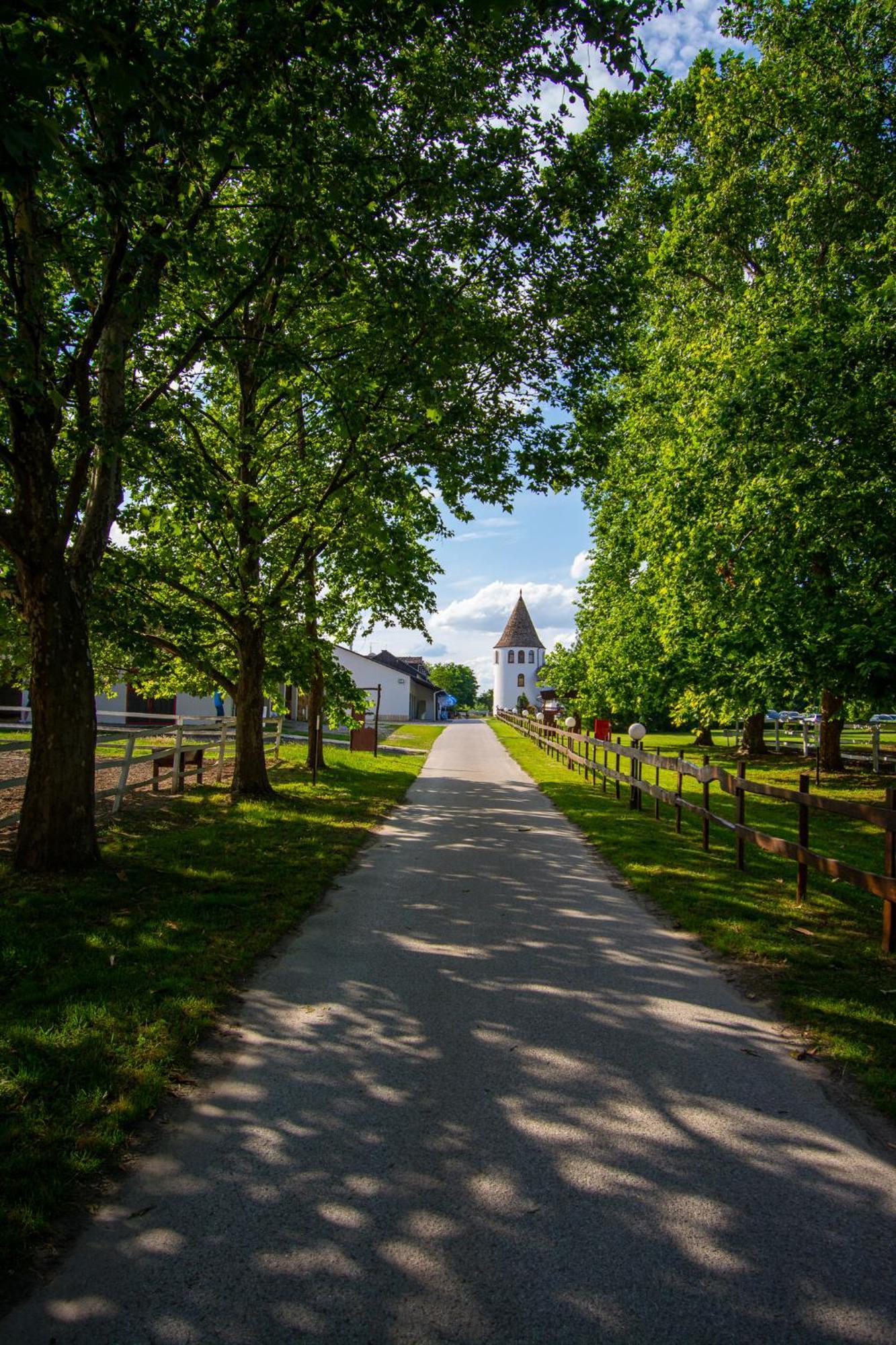 Hotel Villa Majur Subotica Eksteriør bilde