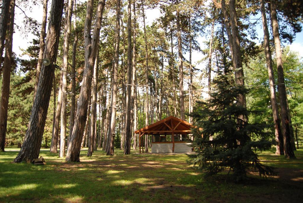 Hotel Villa Majur Subotica Eksteriør bilde